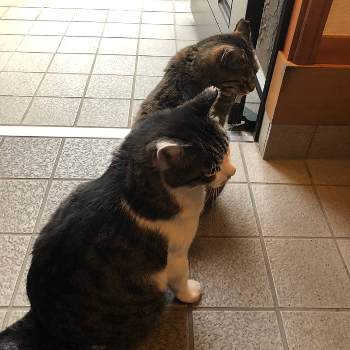 04143310 4009 4339 92ae cb1fc6eac4c1 1525606858320