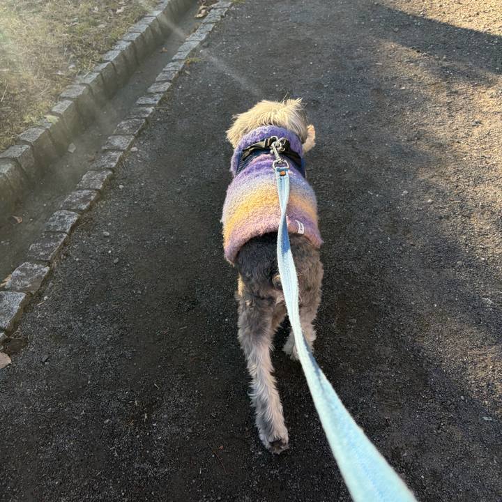 04143a8e ad16 4937 9d6a 6c2db86e2bb3 1767537988219