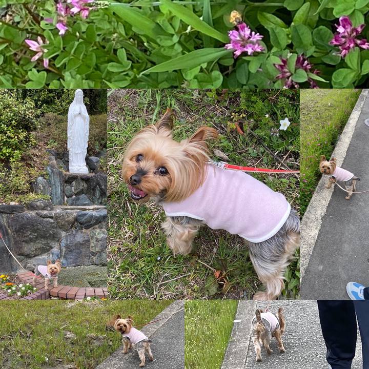 0414422d 6f74 4b3d a91a f46bea4145a7 1616241336233