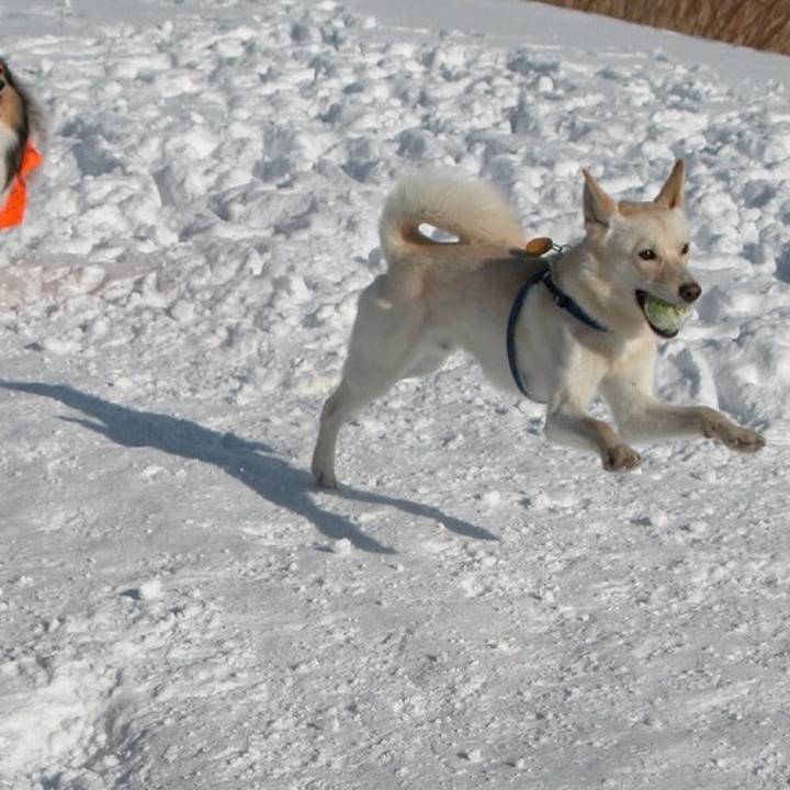 04148d74 74e1 4b93 b579 c871f82177fc 1532004498483