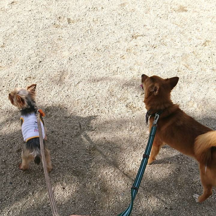 04148fca 76de 48c9 bb7b 597e872892db 1531006932587