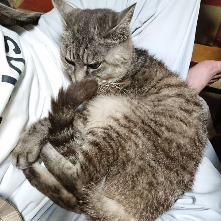 04149774 e62b 419a 8113 1715c83d5c80 1570358943416