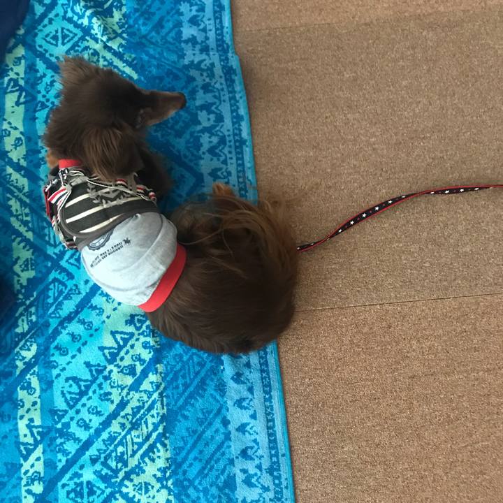 0414bd2a a159 466e a4d5 dc51f3ac9a81 1527377015716