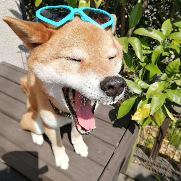 04152e10 ea9f 4369 b4b7 3fd240ab5332 1585800217333