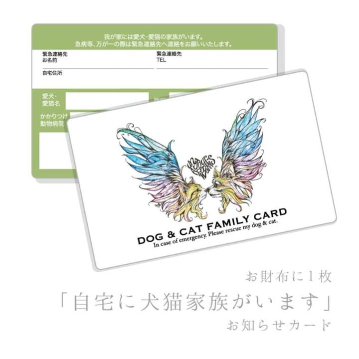 041537fc b27f 4b67 9852 1e08dfa317b8 1575822935802