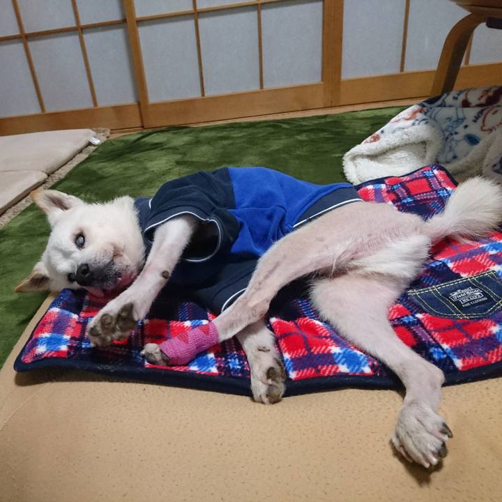 04156e27 a0f2 46b4 b137 494307467d55 1540565429512