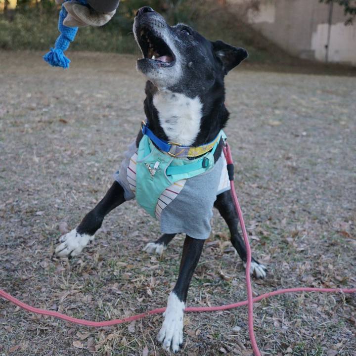 04158d02 b1ad 4ee4 b6fe 662561d2a5f9 1770079081443