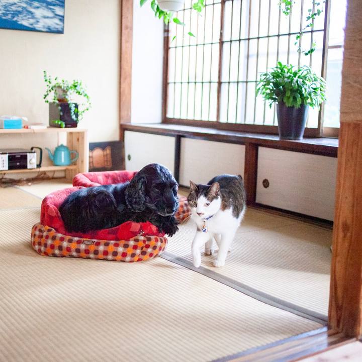 0415bd20 25b3 4fa2 9ad9 33951e674237 1587110578425