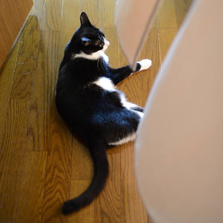 0415c5b6 70a3 47d7 8de6 c8640dd01054 1532231416459