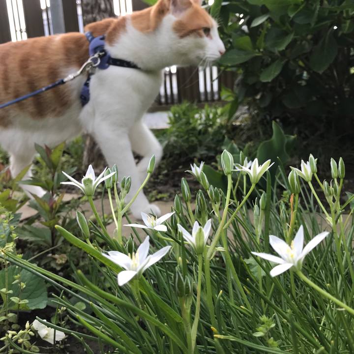 0415cd7f 41f3 4281 ad94 67adbbb478f2 1525504999062