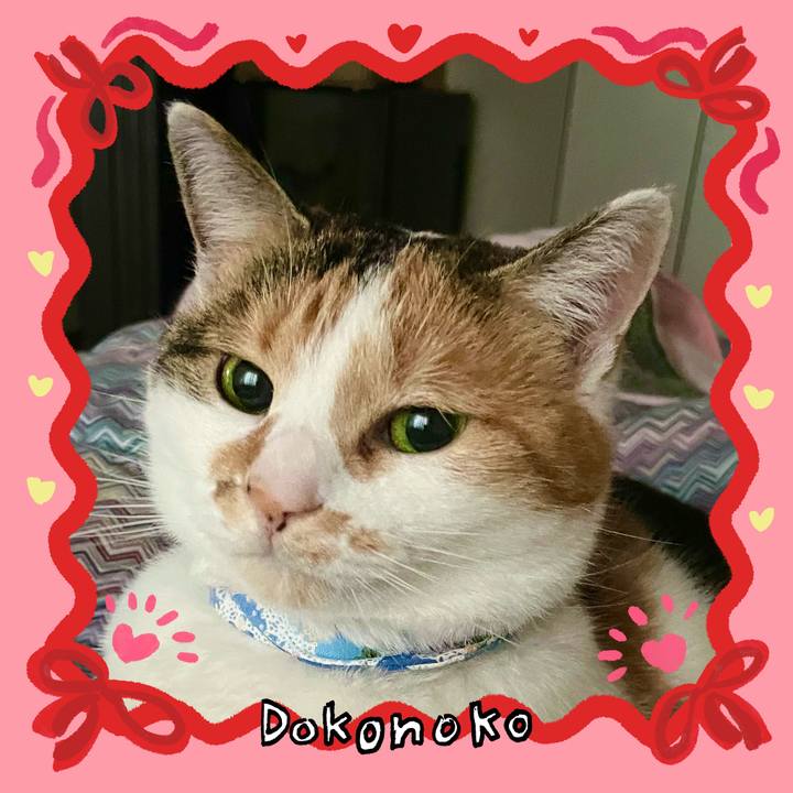 0415f5df c43e 4a08 b2ba 7b9852d8e672 1706830385772