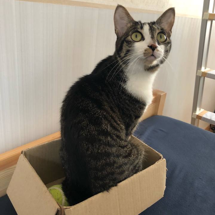 0415fecd dfd9 43c6 a709 38979982230e 1518915245646