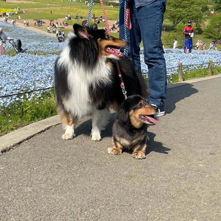 04161c62 afcc 452b 8ac8 dec191b5cf3c 1651663570248