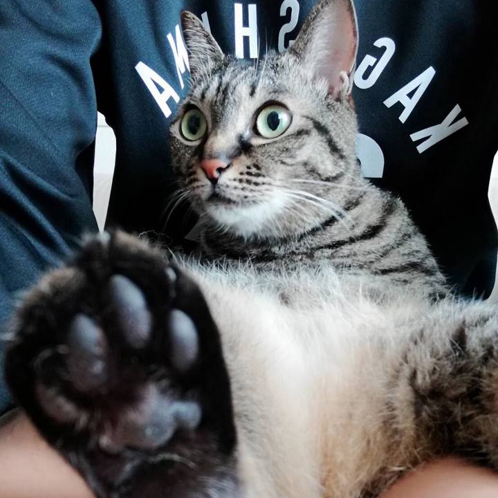 0416316c 19e2 4f6c b0cb 2b5c6f27292f 1557096810401