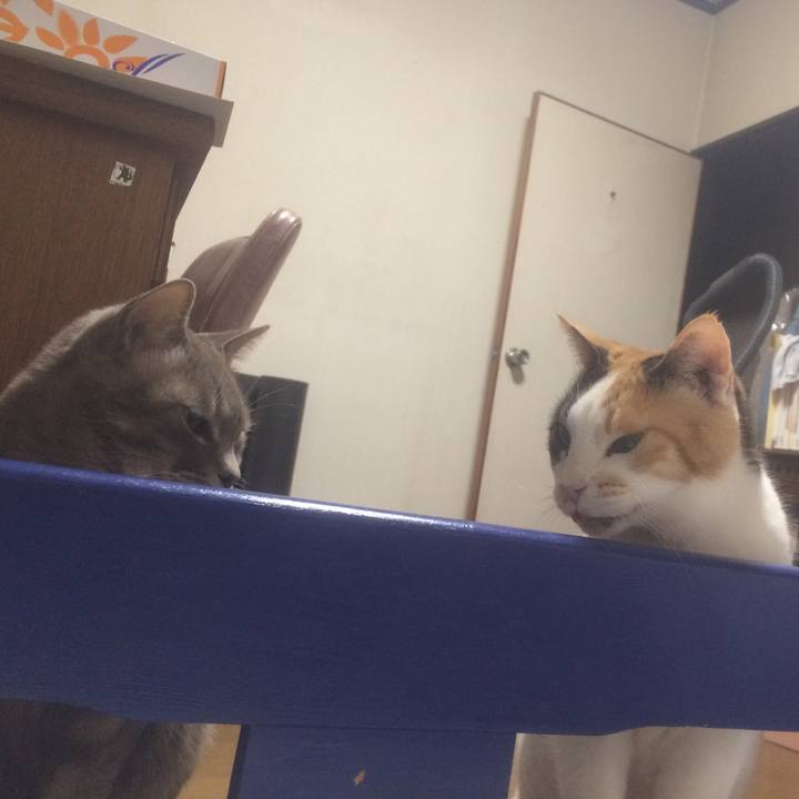 041636ce c856 4a16 bf5c babc0ba0c670 1521767436040