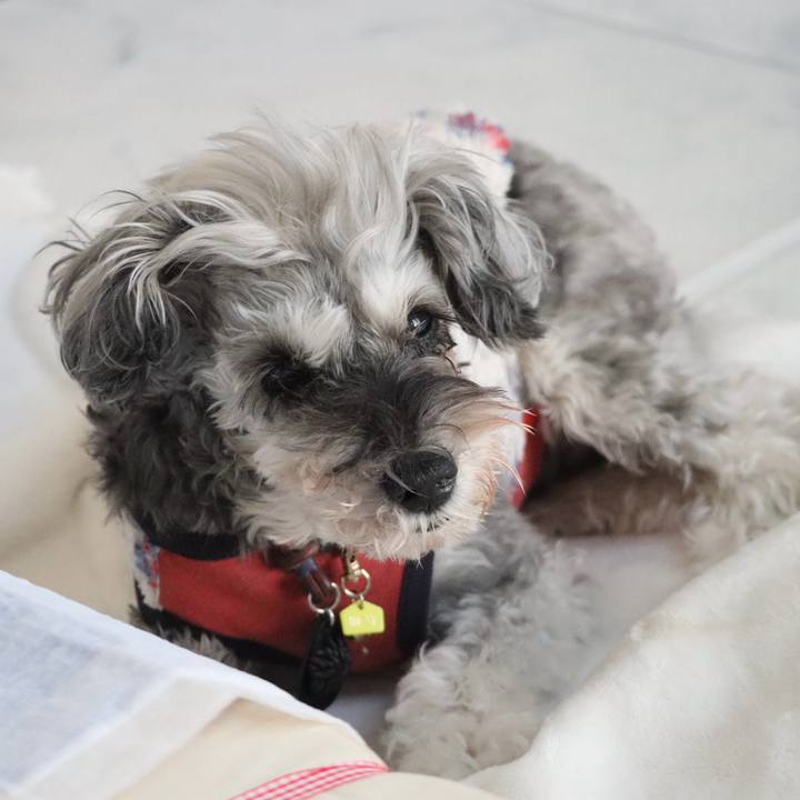 04165edf 629e 4558 af74 c9da21ecef3a 1772102804072