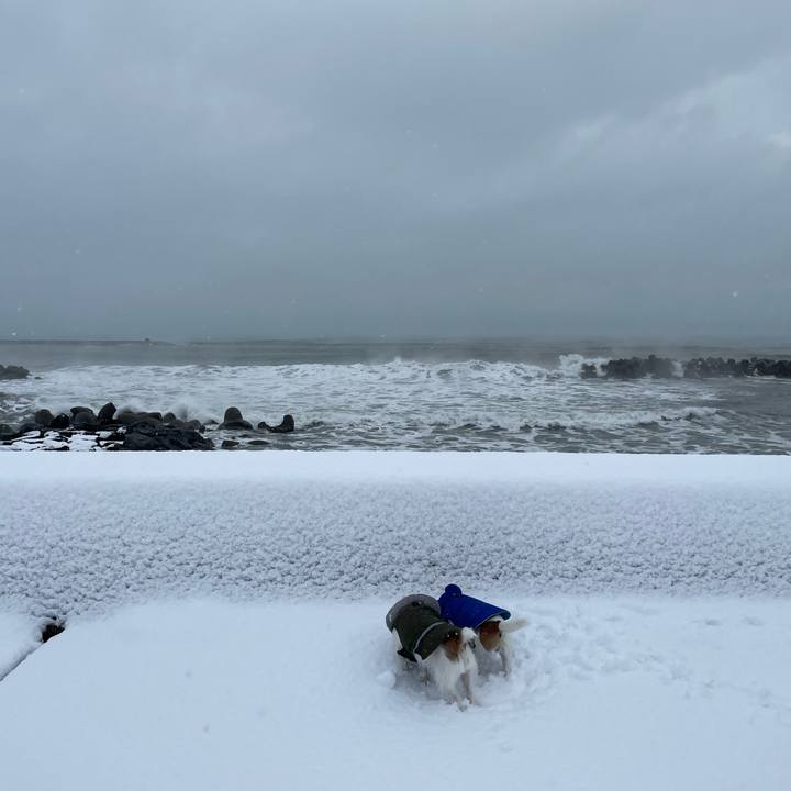 04166967 83a3 449c 9dc4 c5150fecec8a 1639873184716