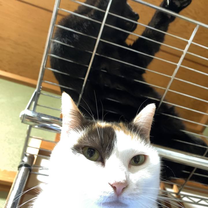 0416a2c0 c0ad 4aed 8cfe 838533cd13cc 1574300650297