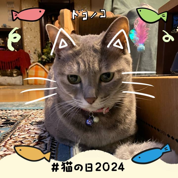 0416ed31 4798 4f39 ade1 1967f66fb10e 1708594261023