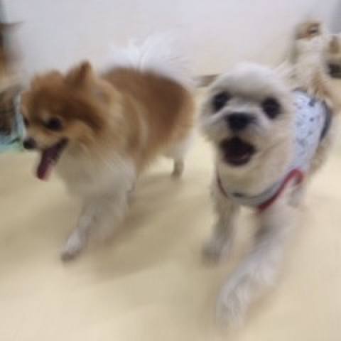 04171f7e 5dde 4143 9d76 249ccd167311 1516014785175