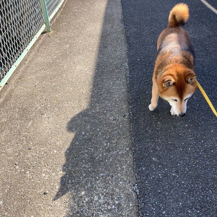 04174268 ca35 4fb4 9556 e1fb5c05acb9 1637635865266