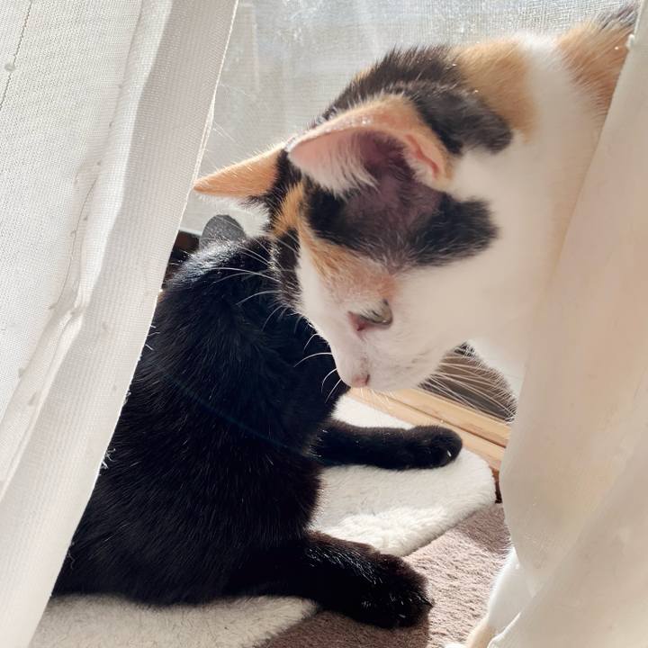 04175d45 afb8 4f4f be65 7ab65762a648 1542862076107