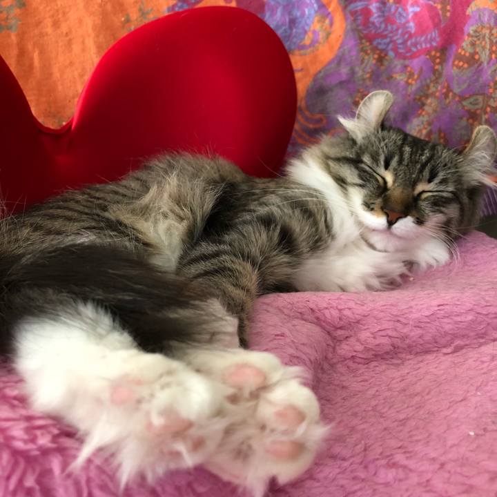 0417e141 fbf2 465f a412 8e314adafd4b 1524806388505