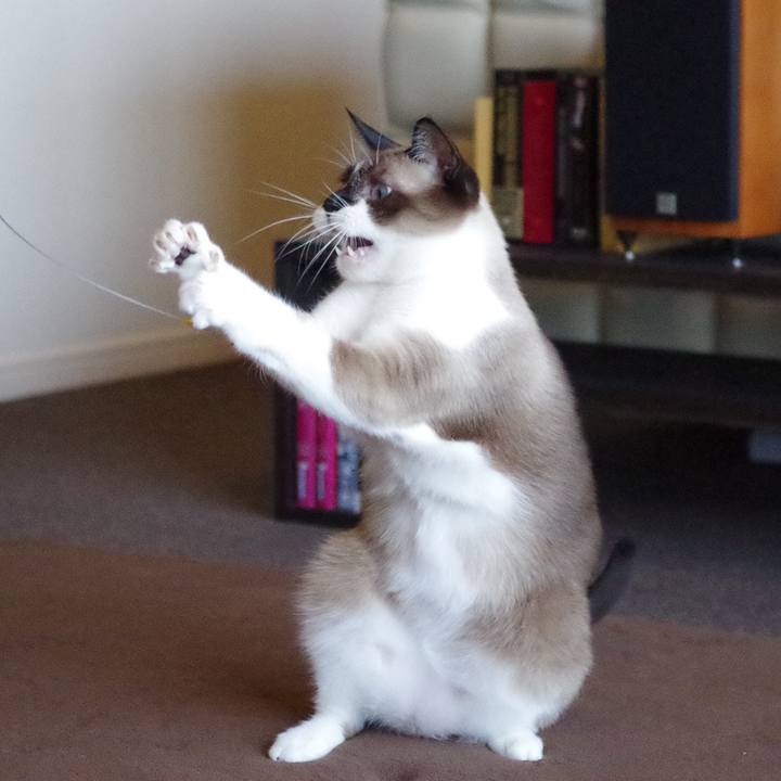 0417e605 375c 4037 89fc 4401c3750b7e 1532330915342