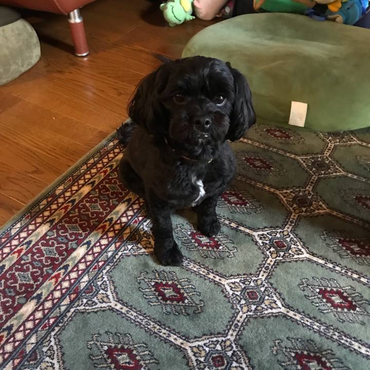 04181259 c675 4b04 a6a4 da558aad8635 1563944925964