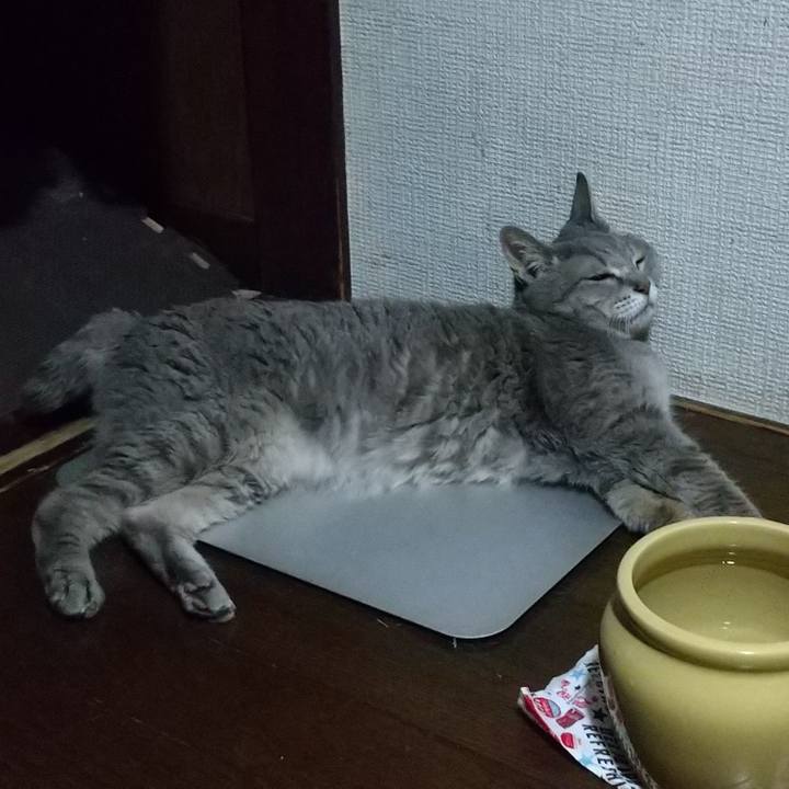 04184a75 3ca1 4226 bc25 7b00f350341d 1754607310247