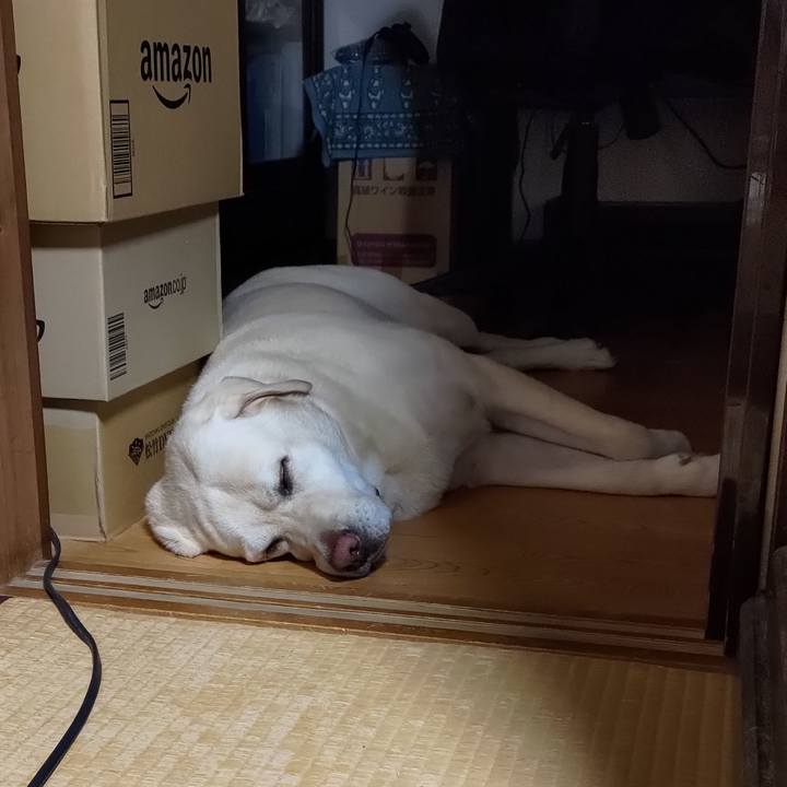 04184bed 6362 4b16 857a f8970e8a3873 1695268748742