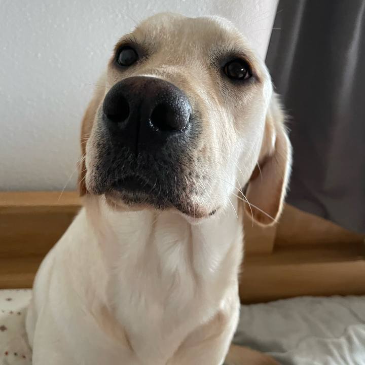 04186b91 3529 48a0 9dc4 647e6bfa08de 1644819315975