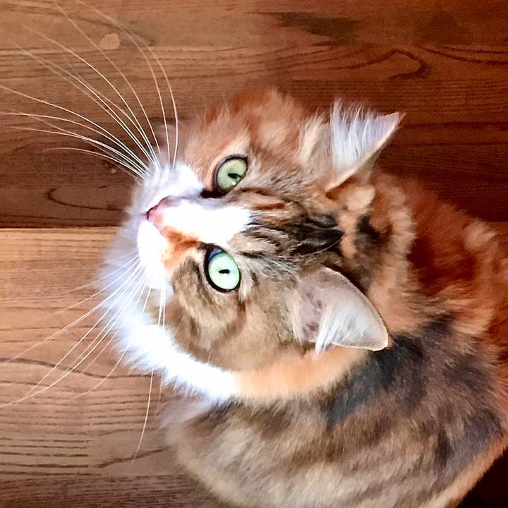 04188e01 ccc5 4764 86d3 5c53f027c03d 1576902925928