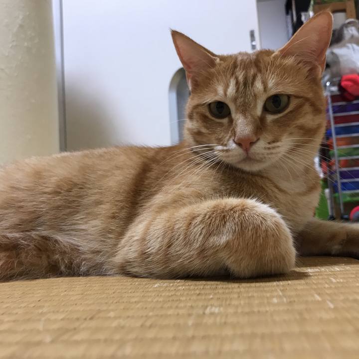 0418a5a5 77a3 4c28 aedc 0fd959e913ca 1528719612287