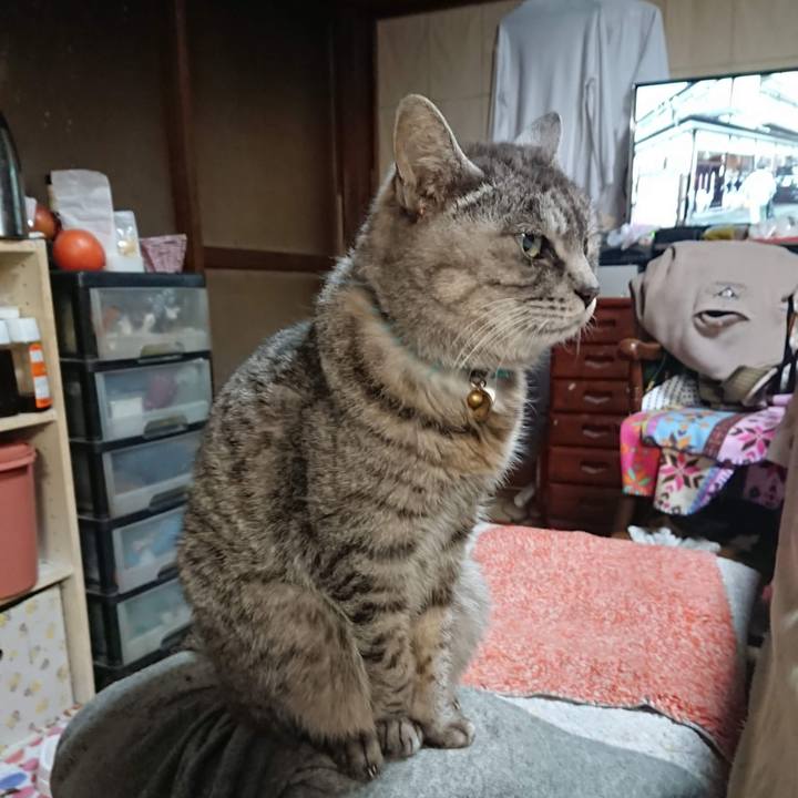 041901e5 200b 4c53 8193 3e77e213c6bc 1606247420408