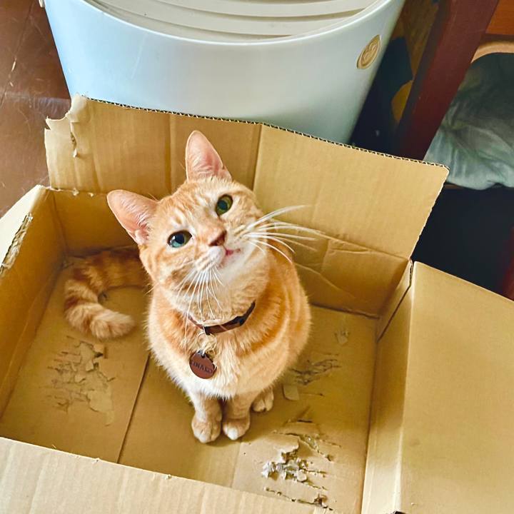 041933da 4e65 481b aa2f 2dcdbbc72b26 1725720787983