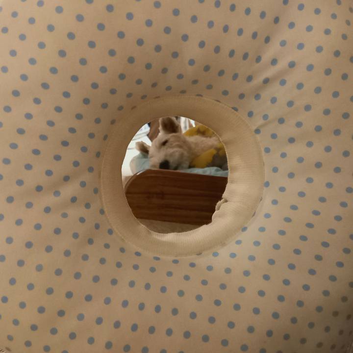 04194d68 dfec 4445 b337 ddbca3a5503b 1633993137830