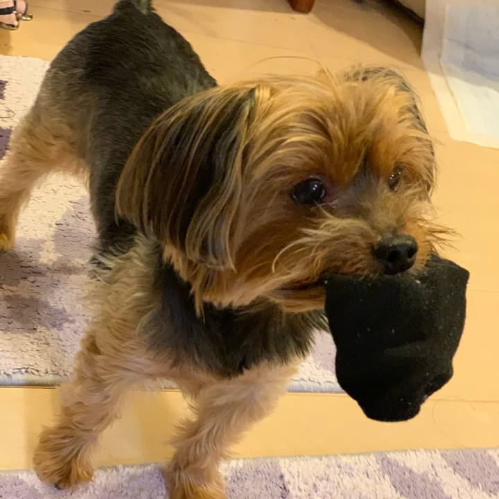 041985a5 a0ac 423f a92b a2c274be6ef9 1574848174916