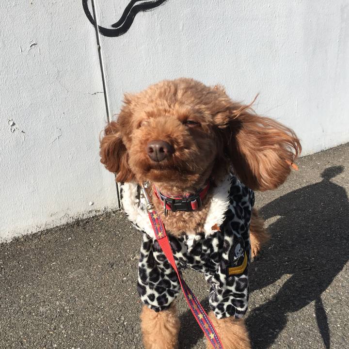 04198ce0 3f14 4e64 a797 d27ac4307a1e 1517984326852