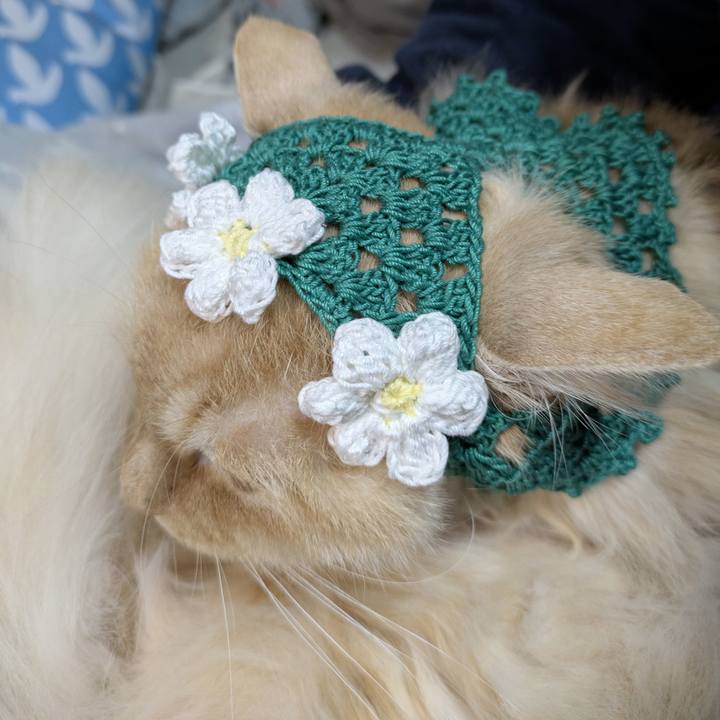 0419e4bc 21bc 404b acba 11a69f3f3abc 1772290526179