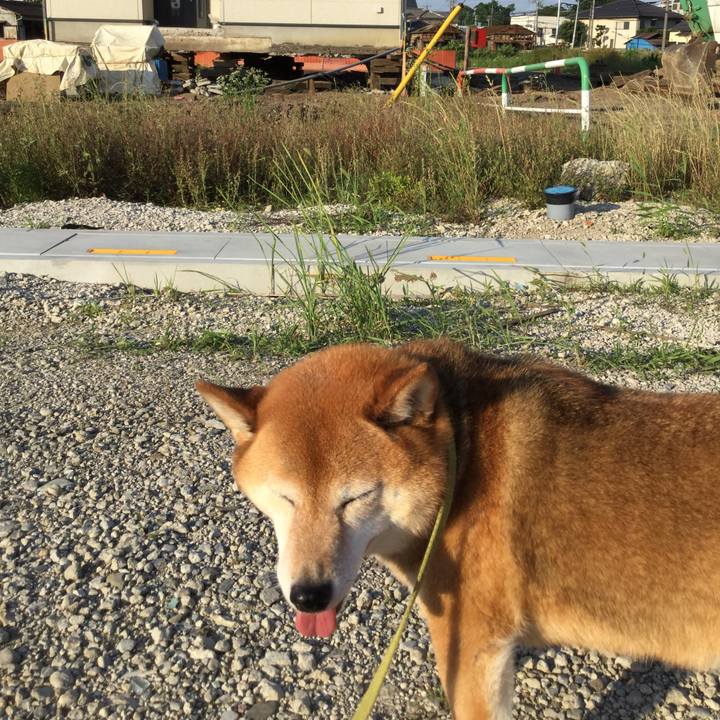 041a37ee 4c18 494a b713 81d73d191ba5 1592298223445