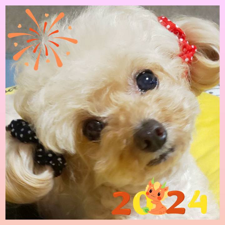 041a3b8c c09a 49e6 8328 6c2693eb186f 1706340010009