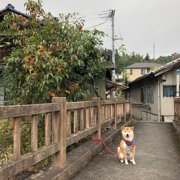 041a49b8 3b2e 400d ae52 85dfbd745ab0 1539245235324