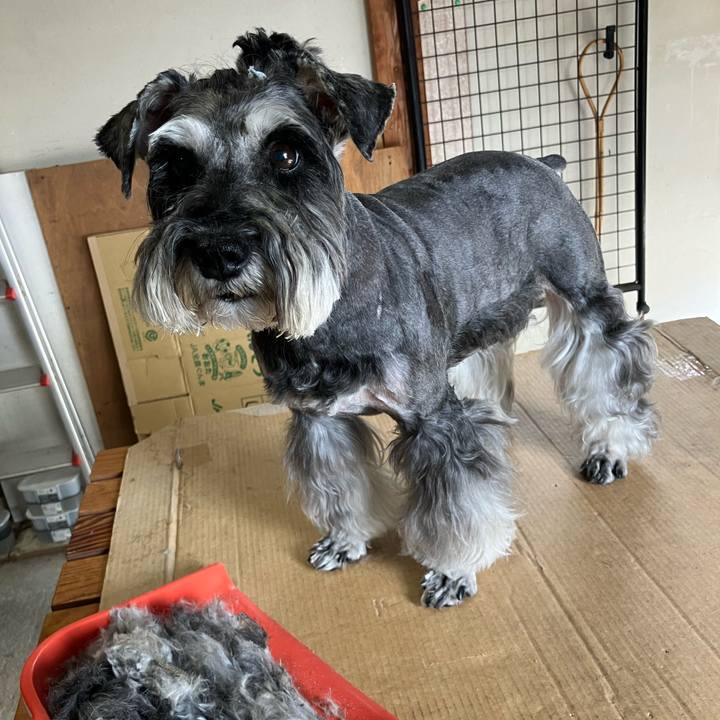 041a537a cf25 42a9 8db1 5e5177a2426d 1722663110371