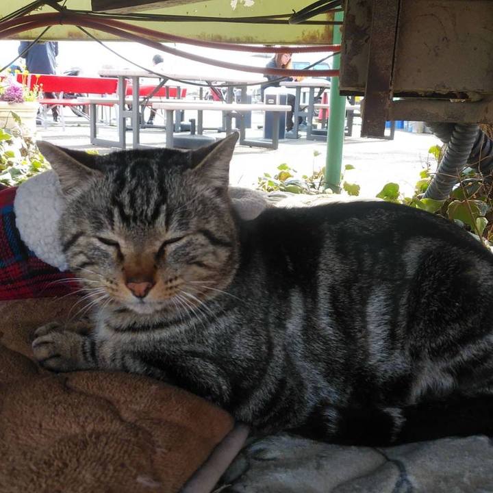 041a63c6 662f 4d18 bb80 09d02c54790c 1616118664905