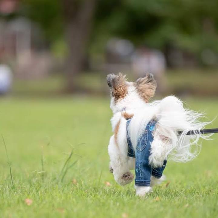 041a9a12 ceab 4e22 be1b de8c190d7037 1569744617806