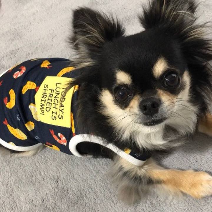 041ab06d 743c 487e 8f11 a27deaef5ebf 1591769149502