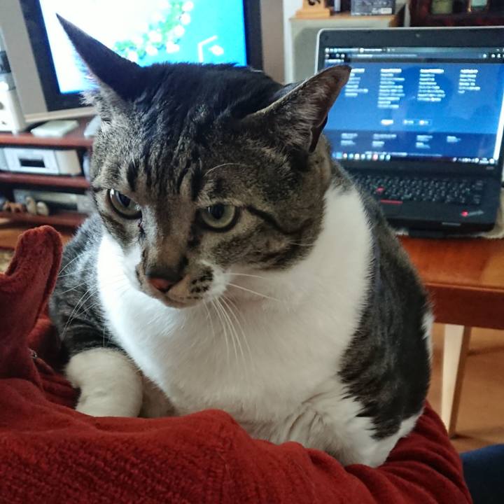 041ae42d c860 43be a29c a15edd5c843a 1553413893151