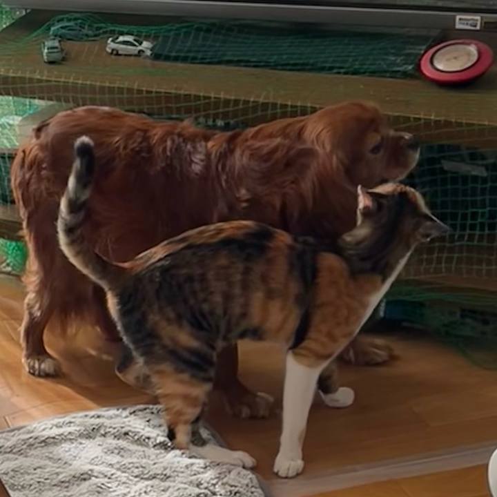 041af22b 487a 4e12 bc41 6a909f9e567f 1665879337574