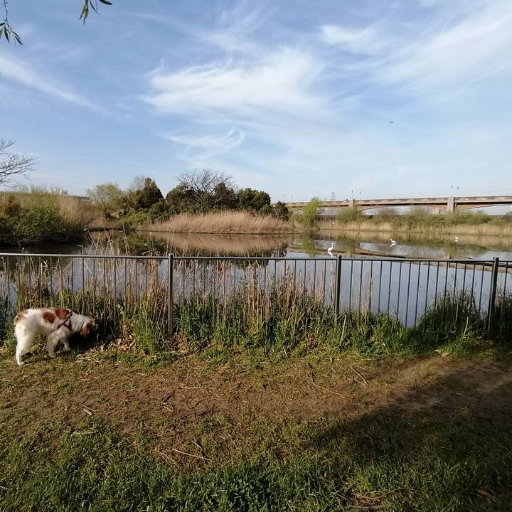 041afa60 bf96 4330 a3d5 8d9406c20503 1586224587833